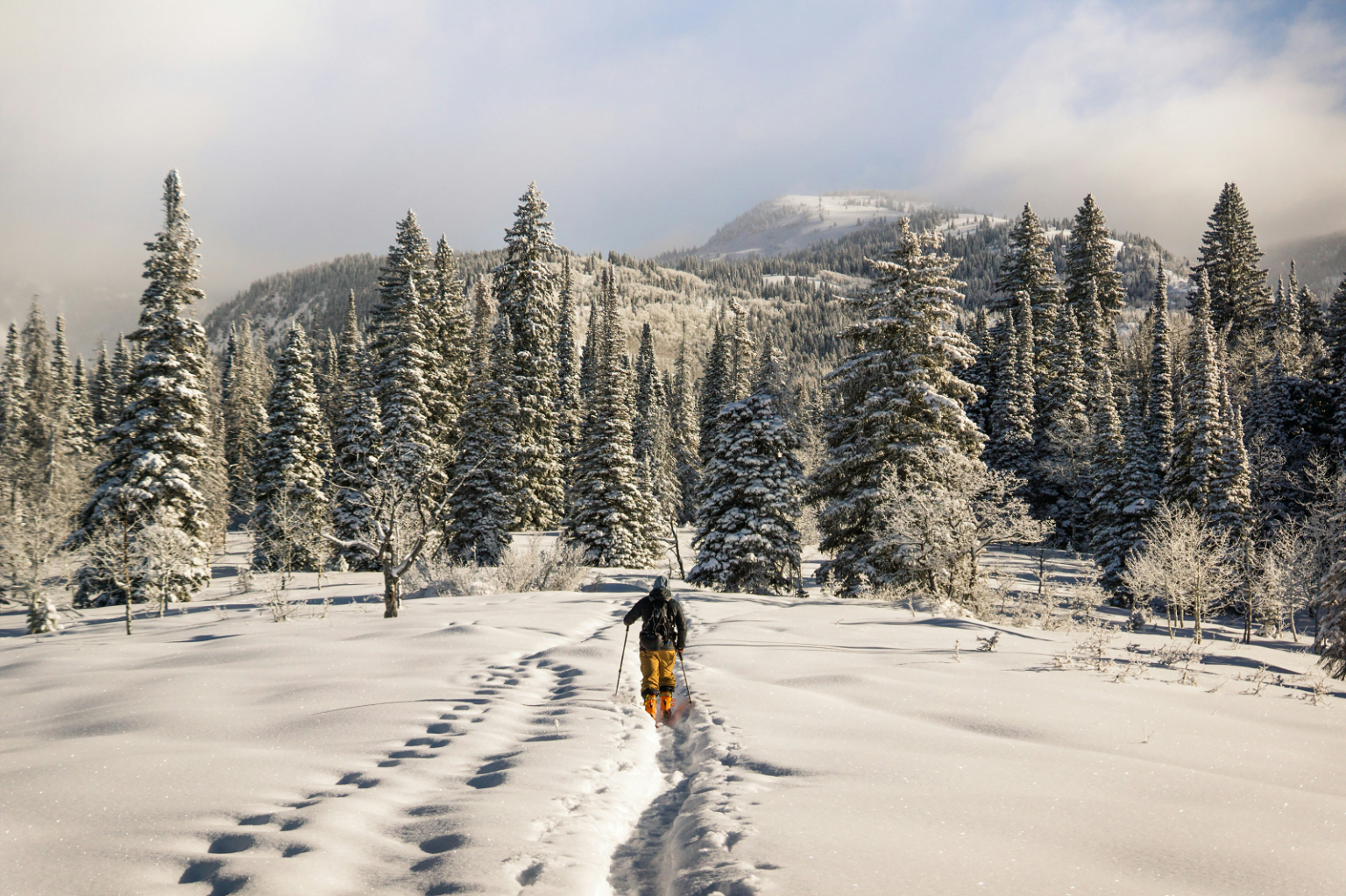 Stunning Luxury Ski Resorts With Private Ski Lifts image