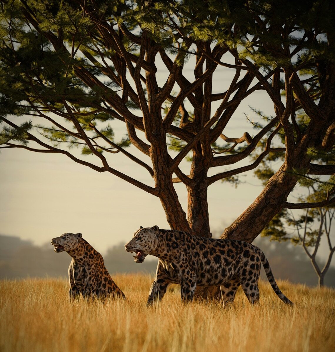 luxury-safari-south-africa-experiences