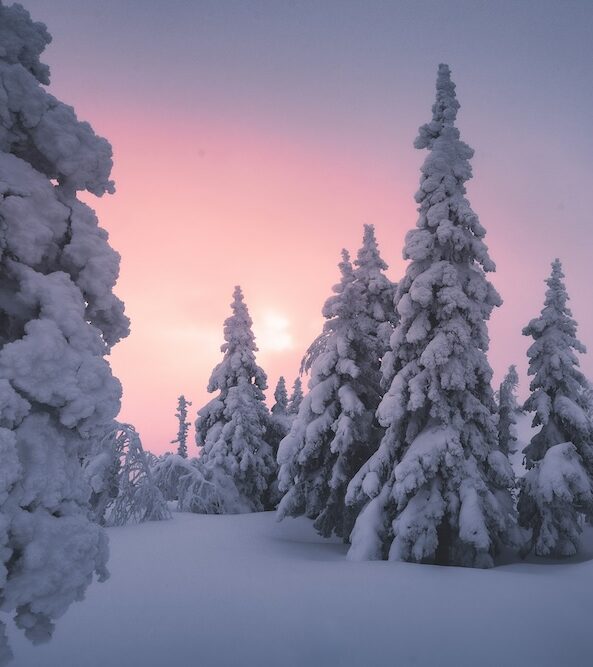 unique-experiences-finnish-lapland