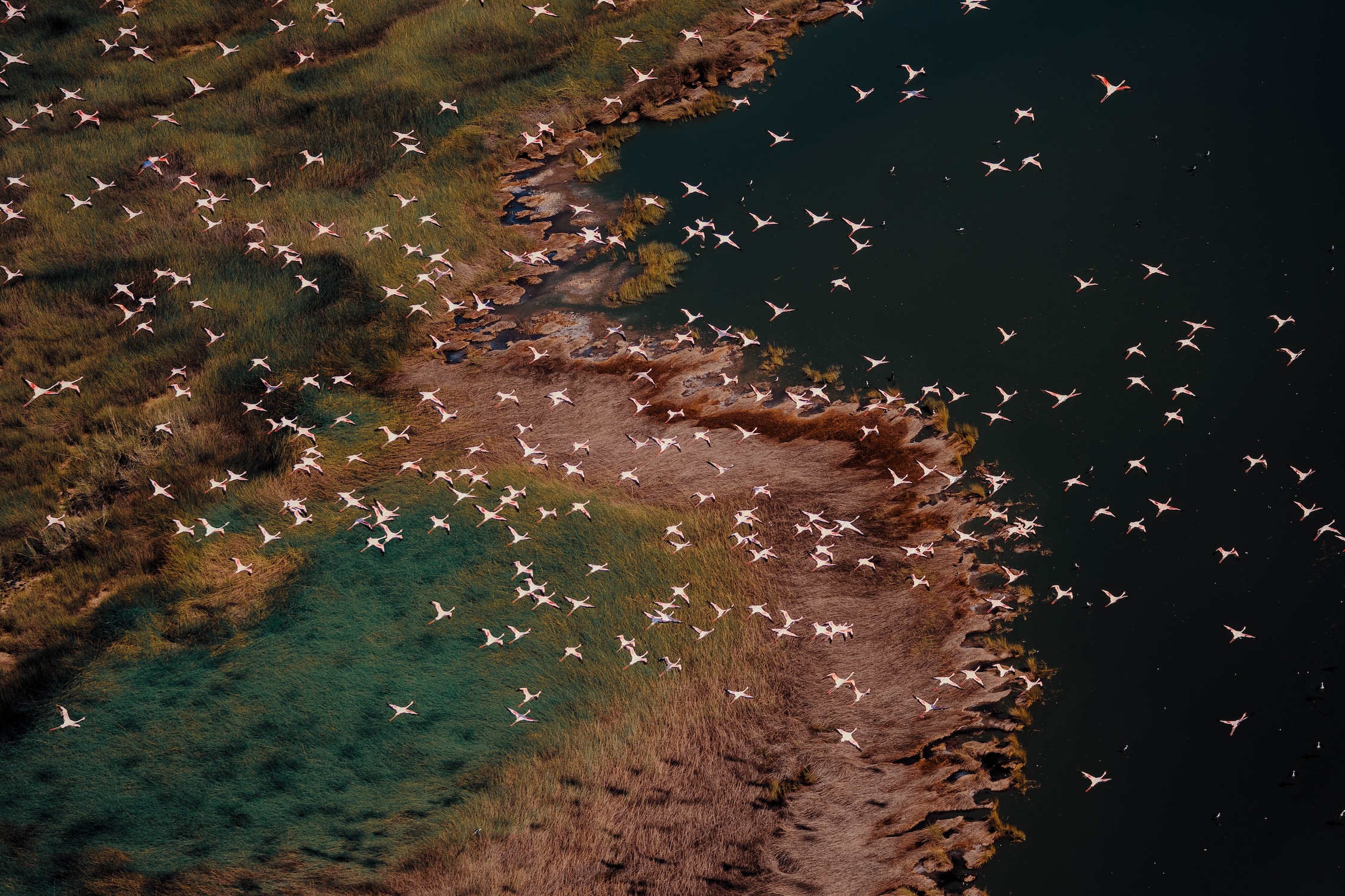 unique-experiences-kenya-helicopter-tour