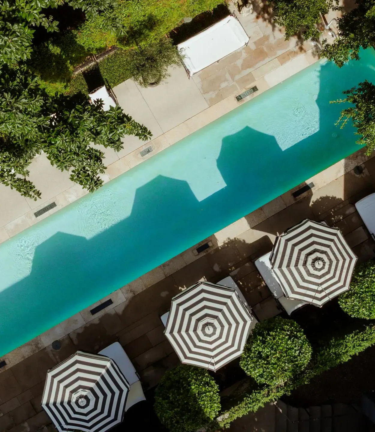 hotel-saint-cecilia-austin-texas