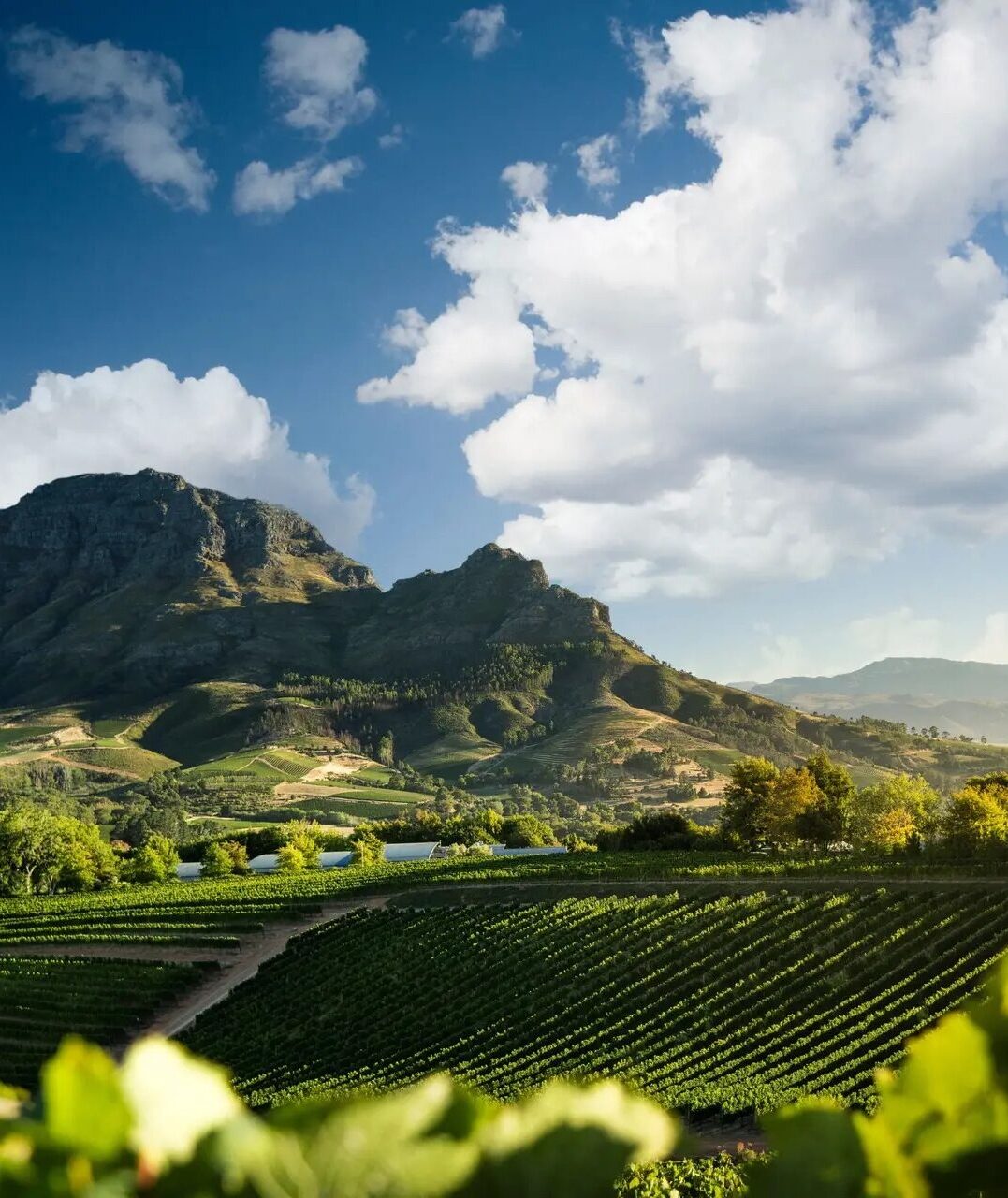 delaire-graff-estate-stellenbosch