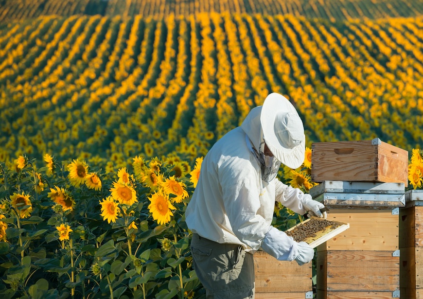 authentic-exclusive-dining-experiences