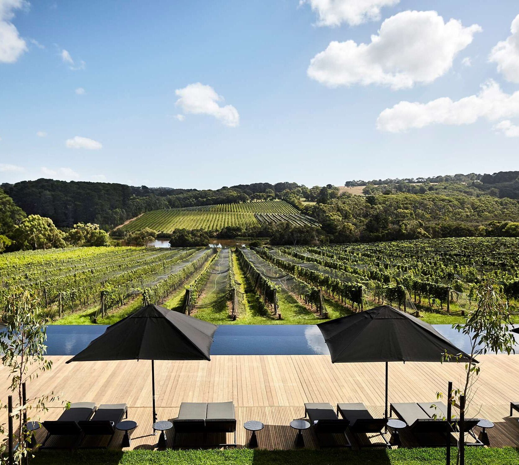 melbourne-australia-jackalope