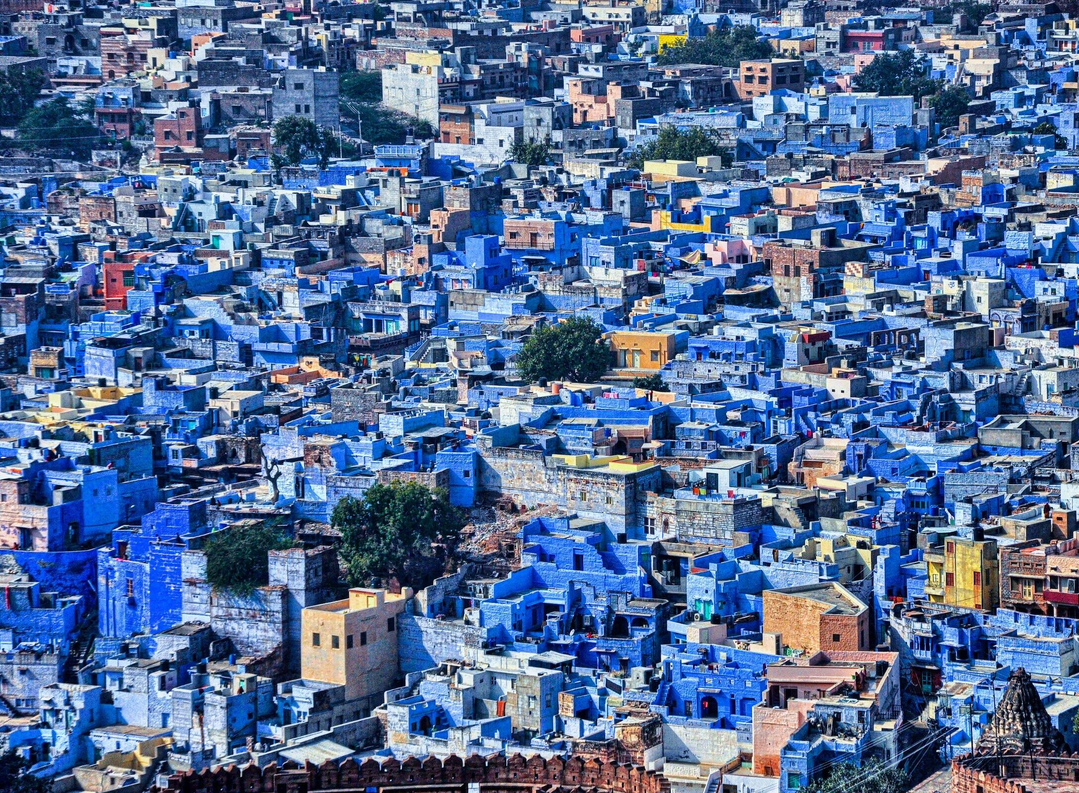 blue-city-jodhpur