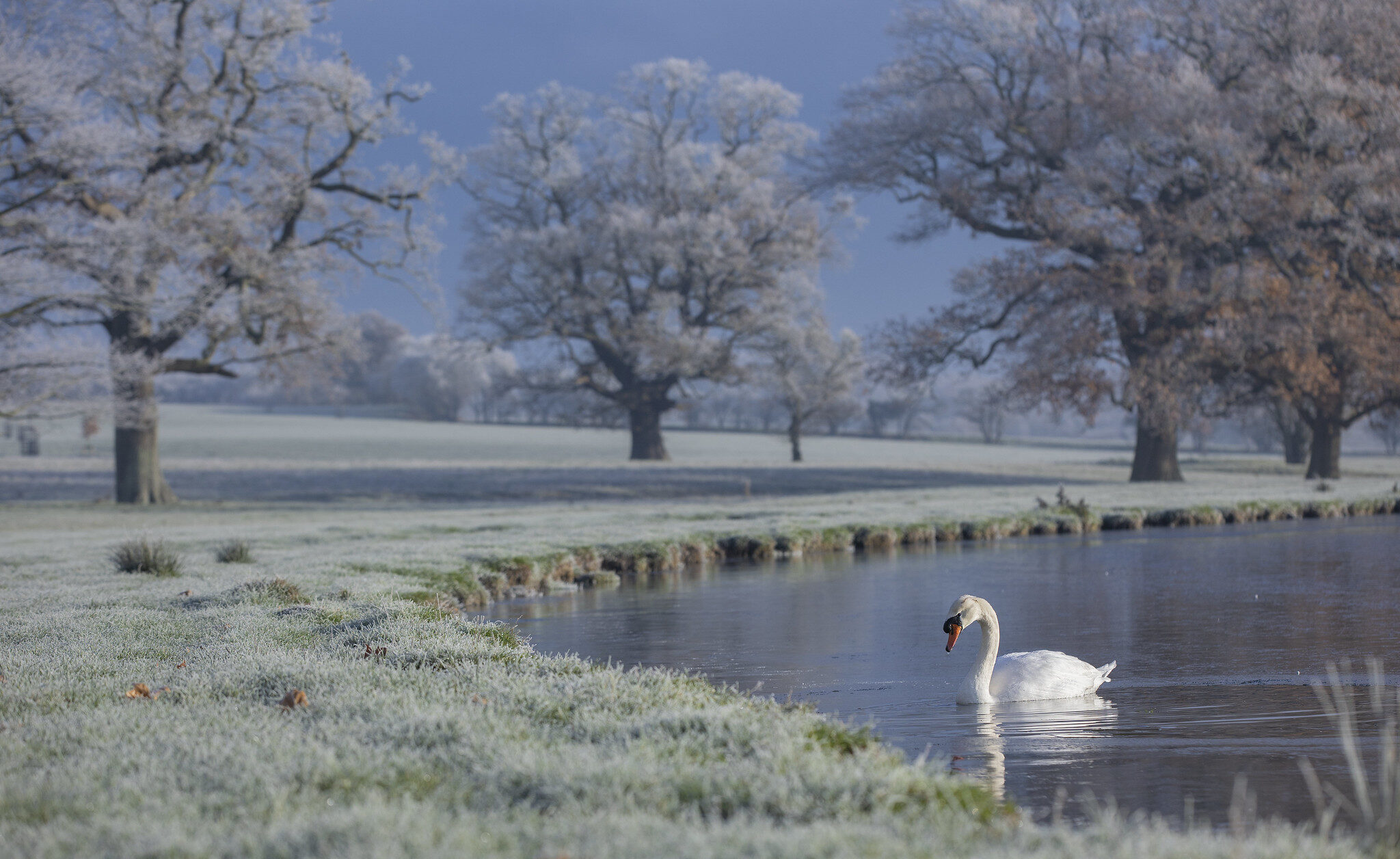 activities-wilderness-reserve