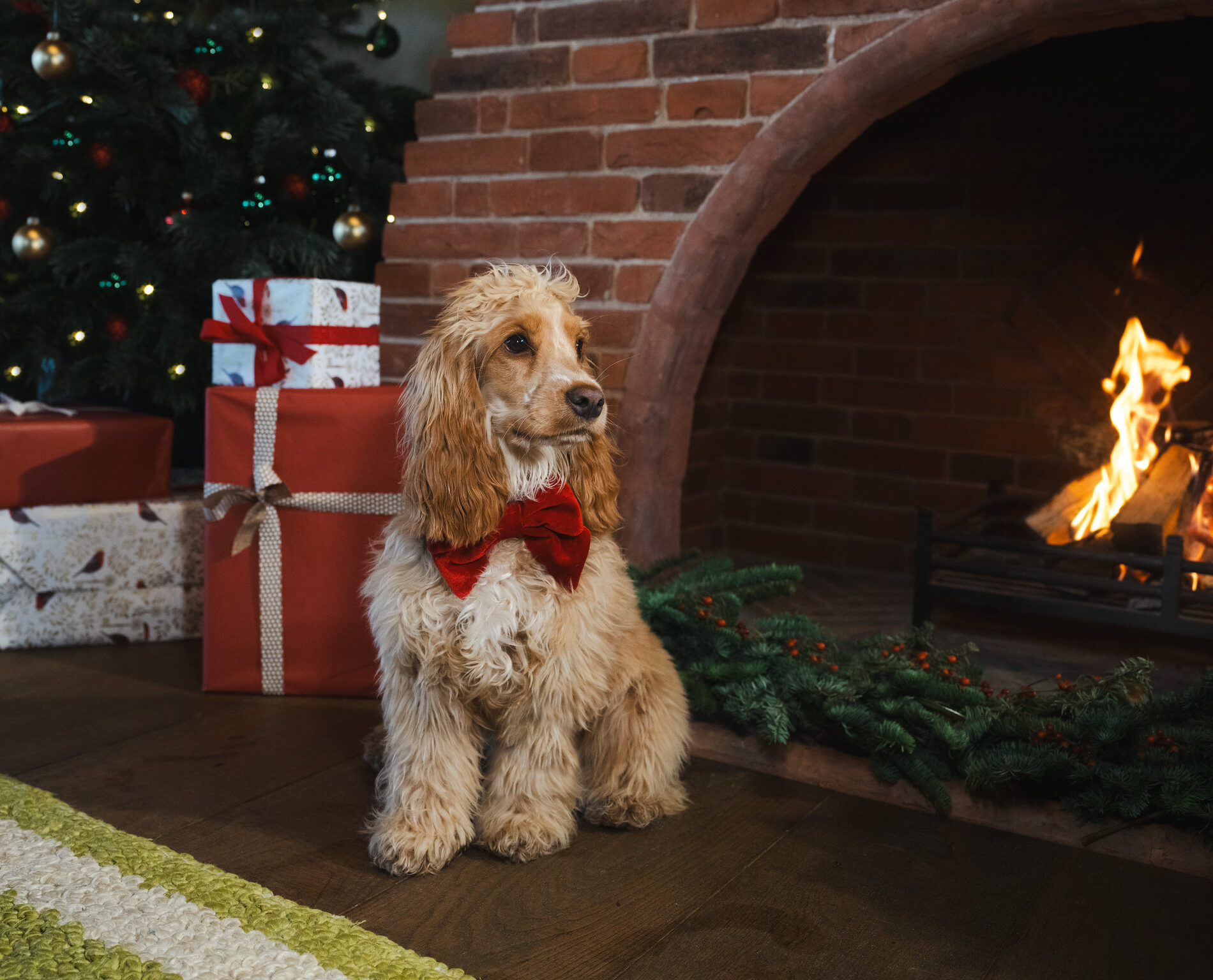 festive-escapes-wilderness-reserve