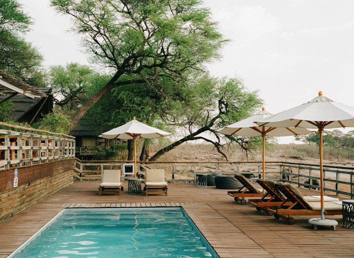 savute-elephant-lodge