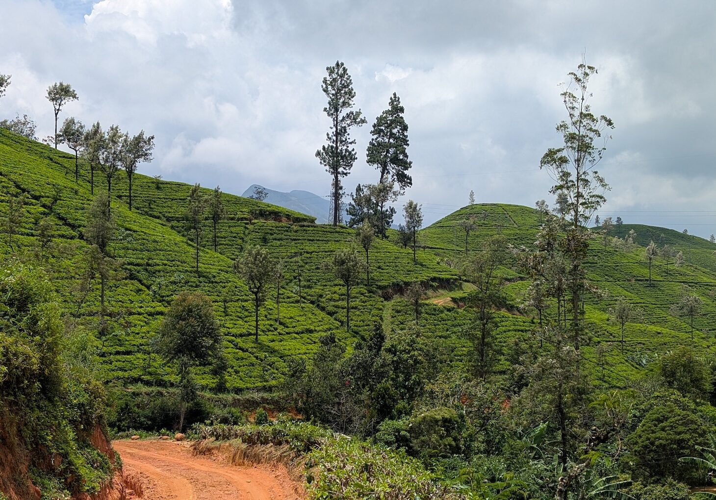 pekoe-trail-sri-lanka