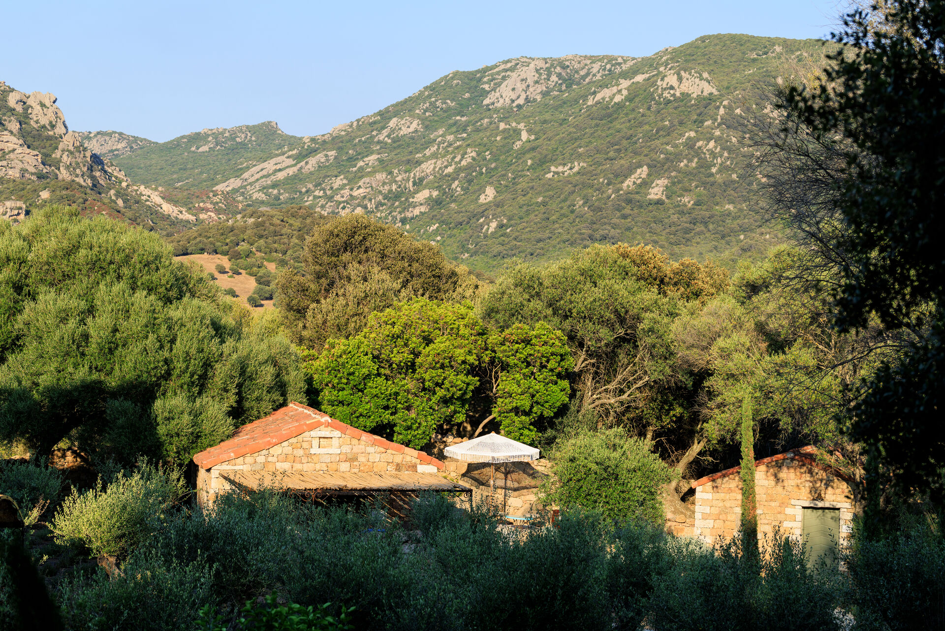 A Mandria di Murtoli