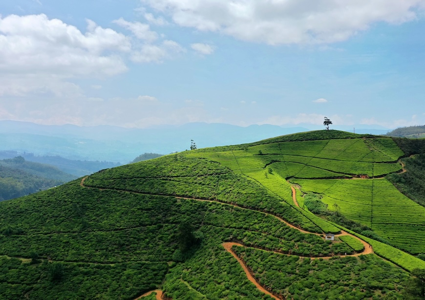 sri-lanka-tea-trails