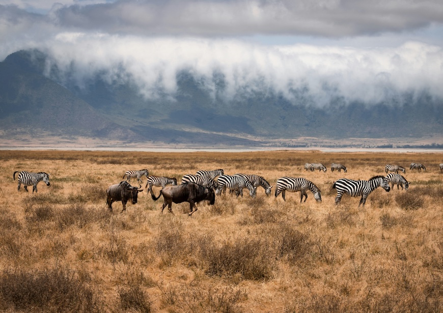 romantic-safari-trips