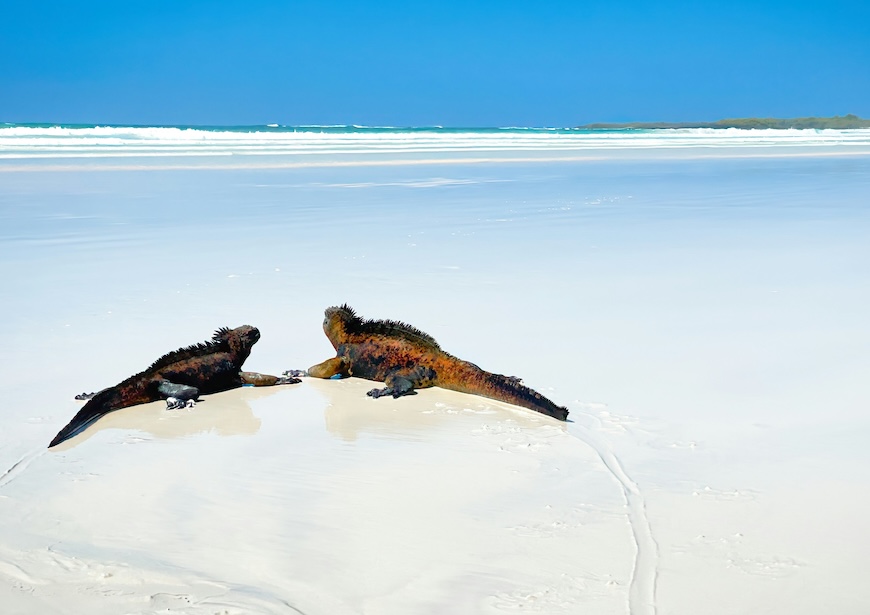 galapagos-luxury-experiences