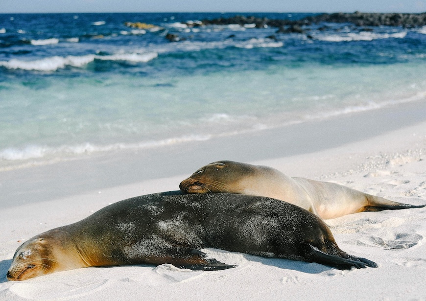 the-galapagos-luxury-holidays