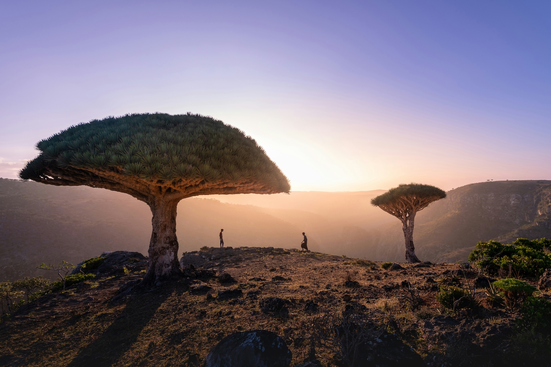 360-luxury-travel-membership
