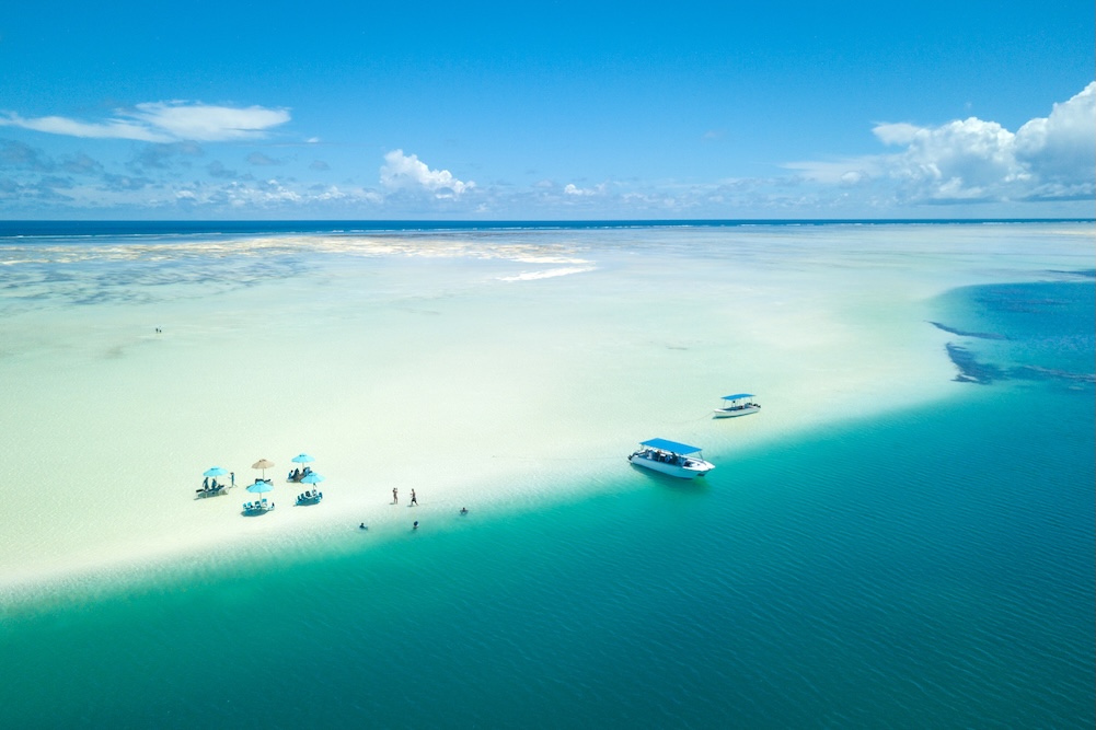 alphonse-island-blue-safari