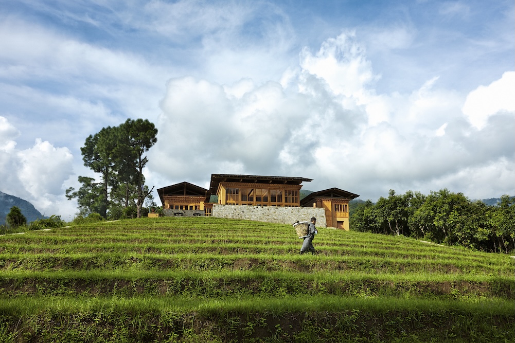 como-uma-punakha