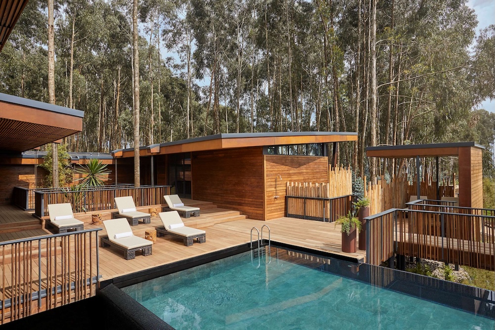 o&o gorilla nest villa pool
