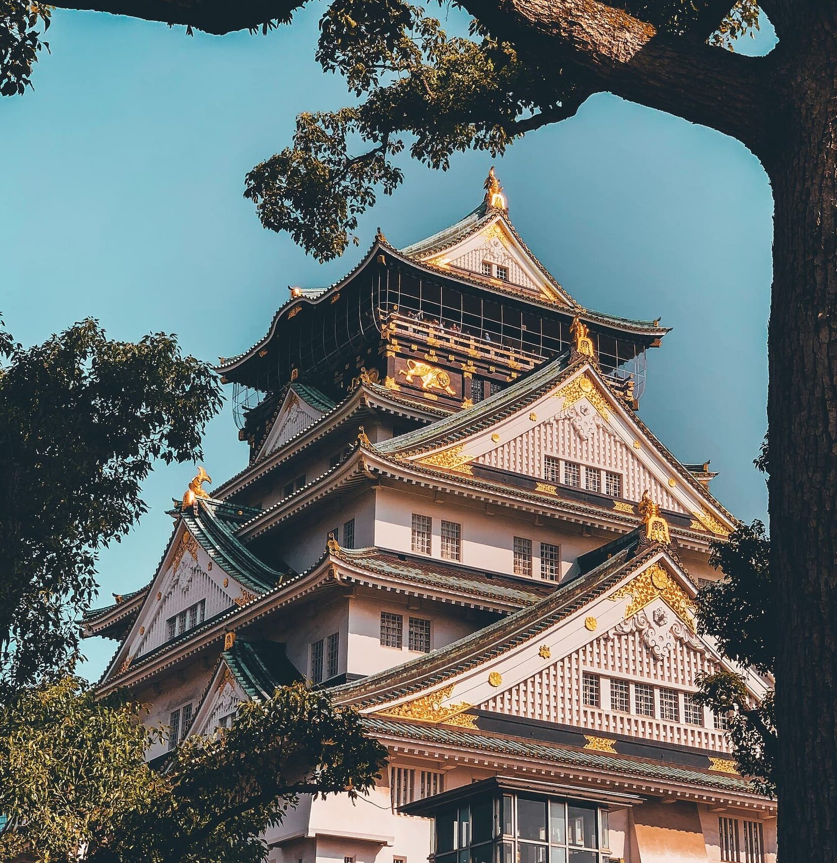 things to do in Osaka