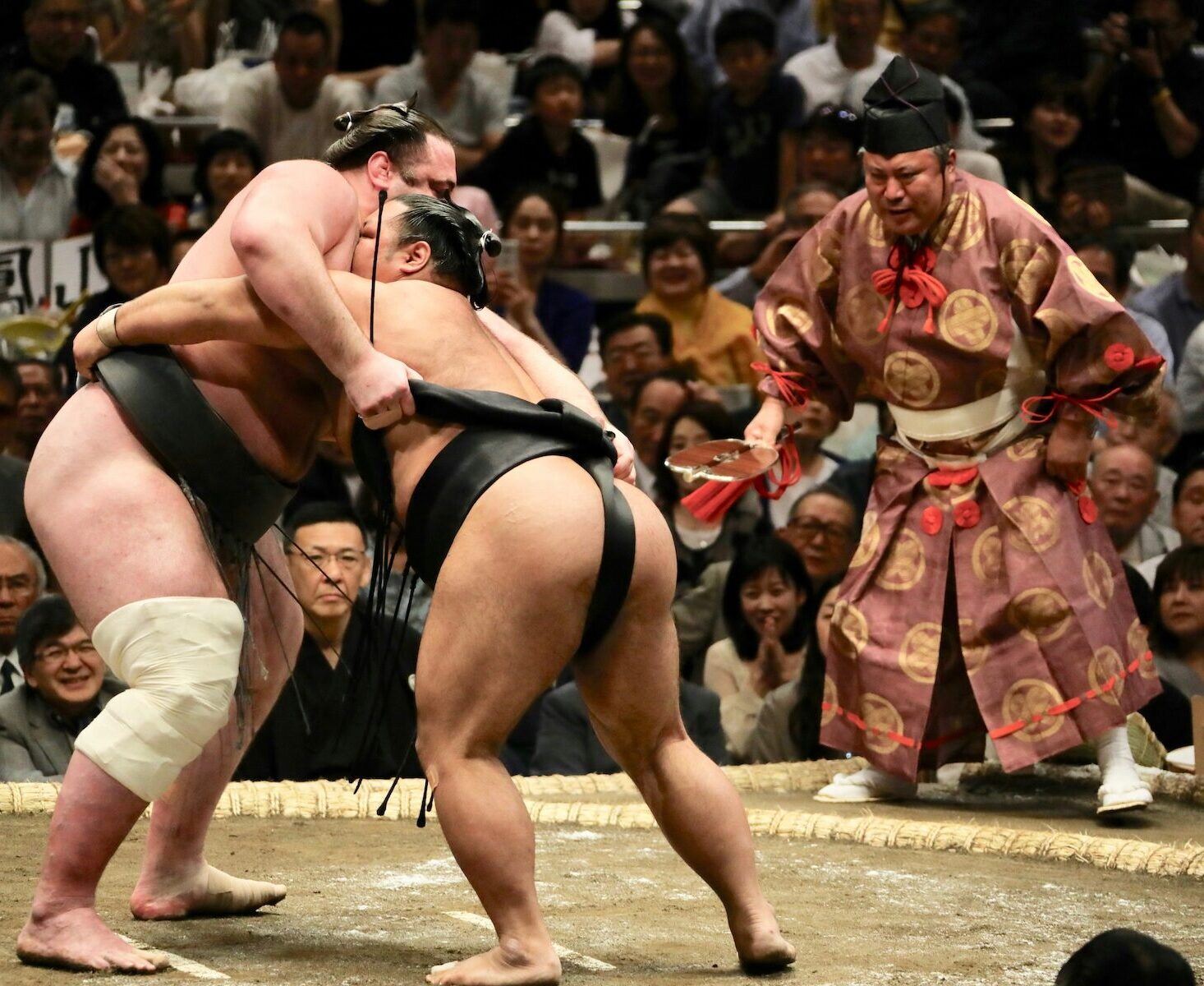 tokyo sumo wrestling